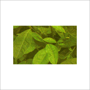 Green Label Magnesium