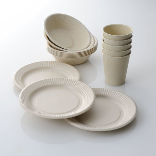 Disposable Plain Paper Plates