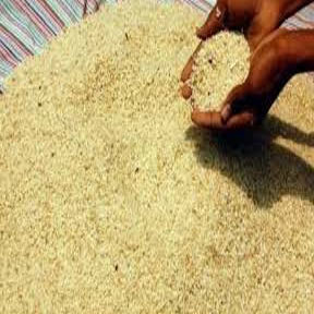 जादा चावल