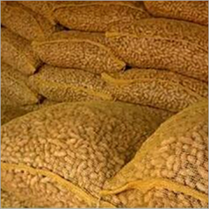 लेनो मेष बैग