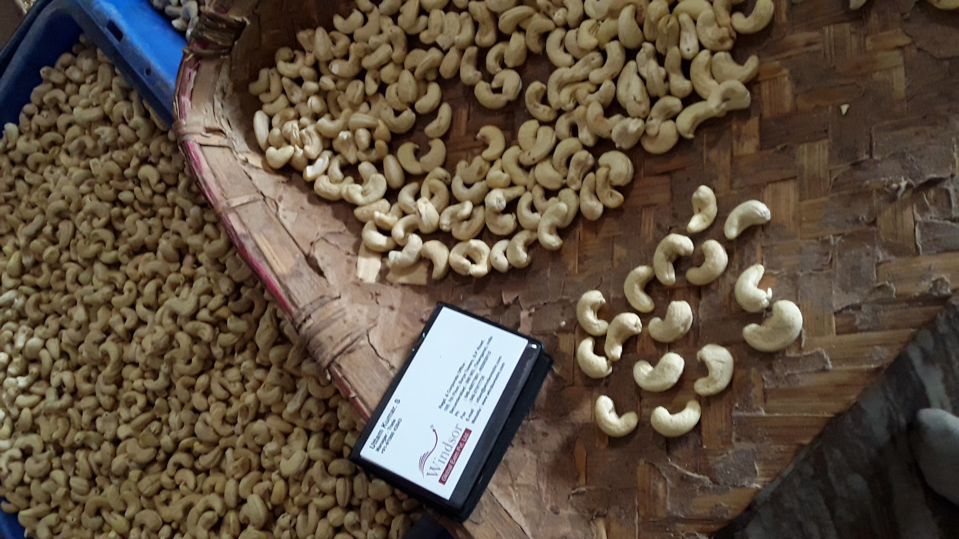 Cashew Kernals Broken (%): 5% Broken