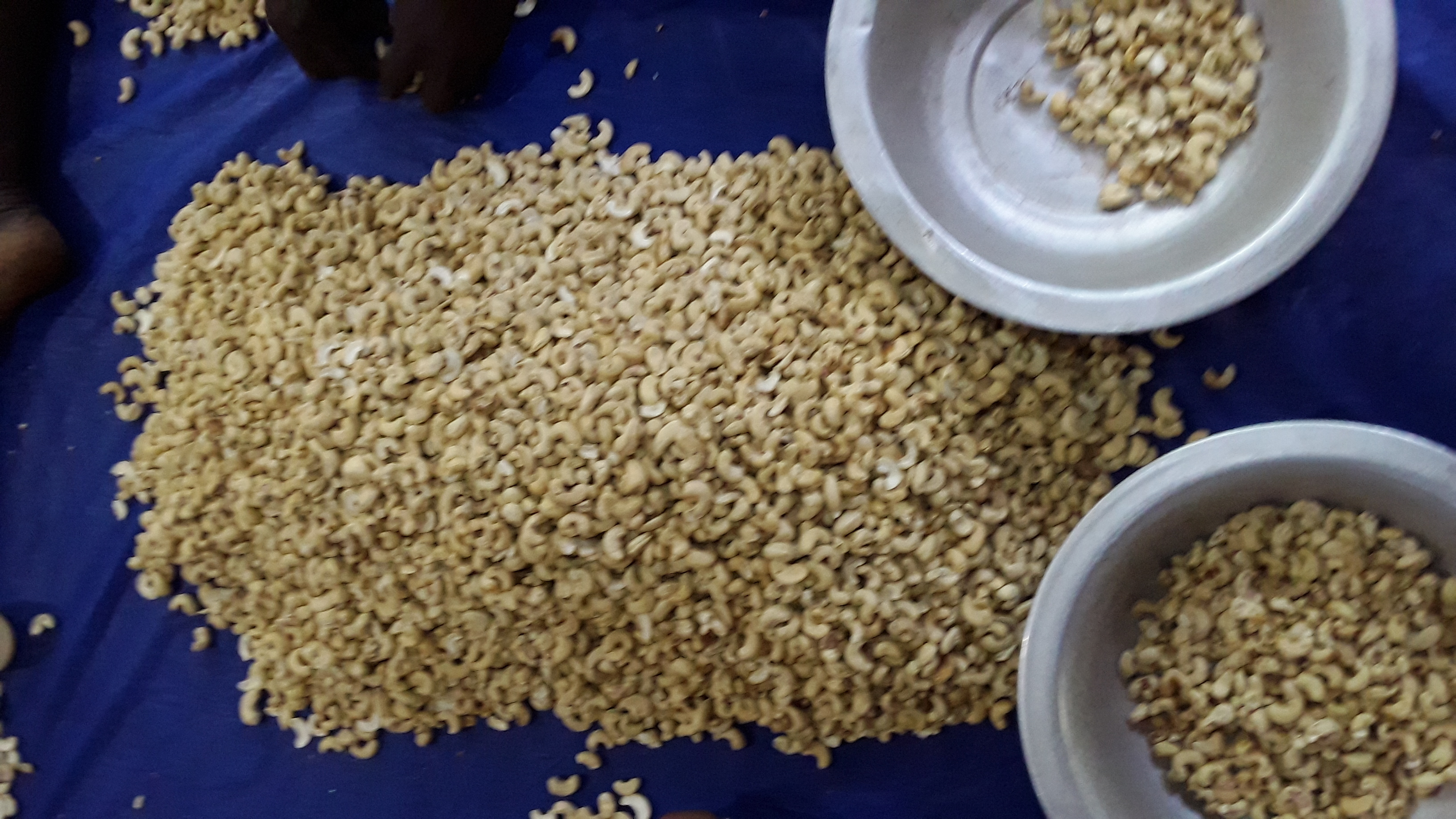 Cashew Kernals Broken (%): 5% Broken
