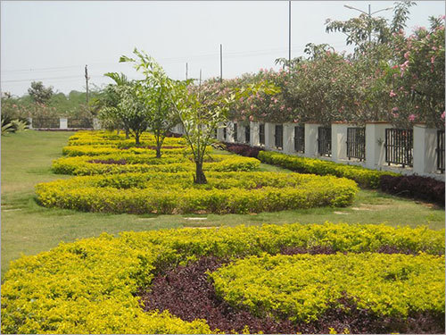 बगीचे के परिदृश्य सेवा