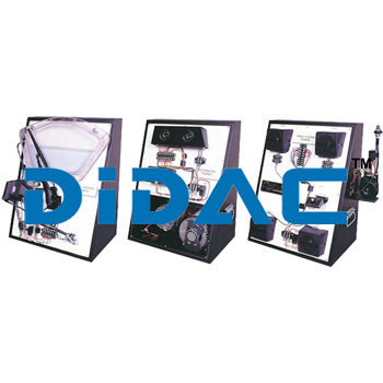 सीरीज 2000 ट्रेनर्स