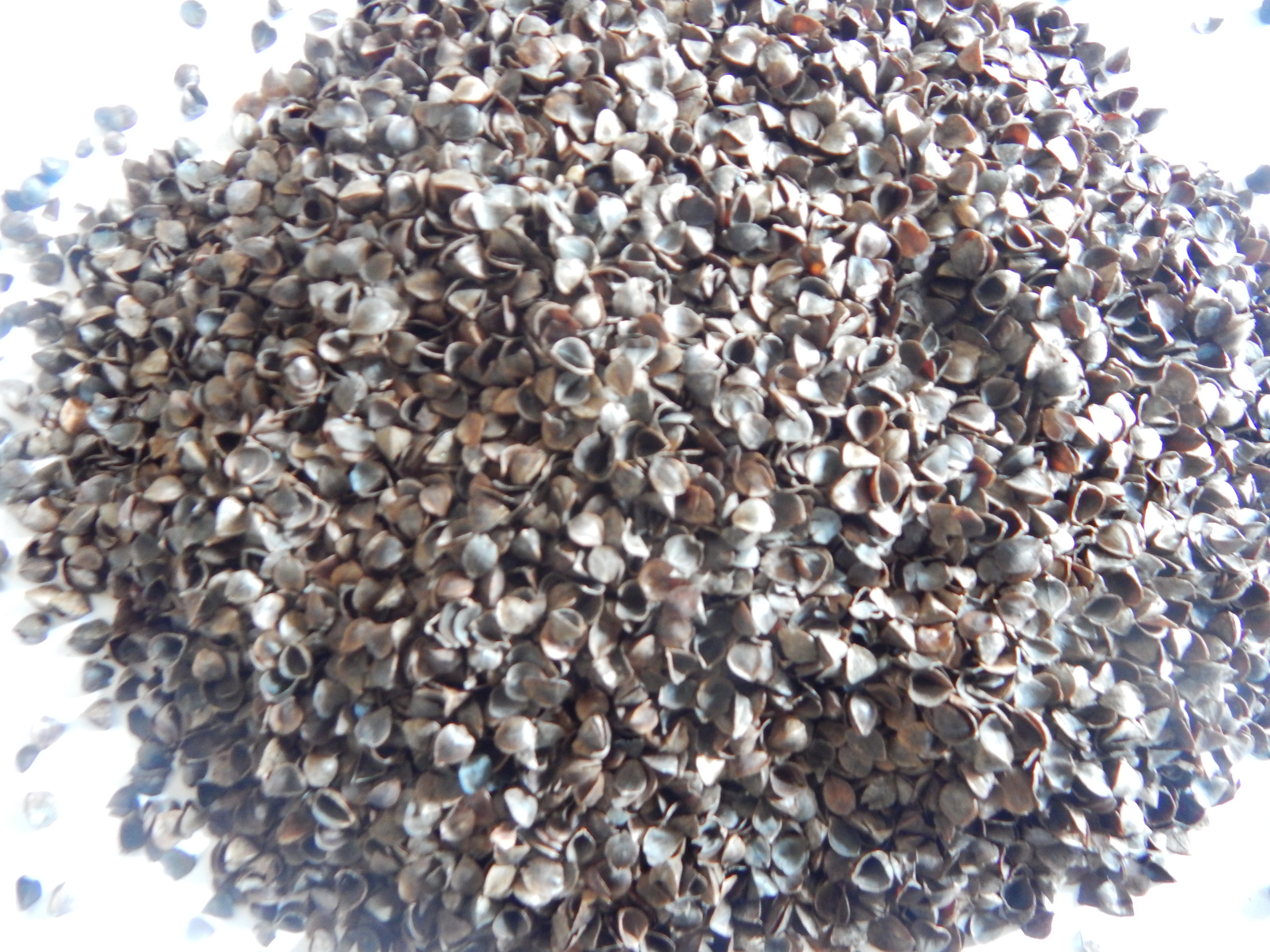Organic Buckwheat Hulls