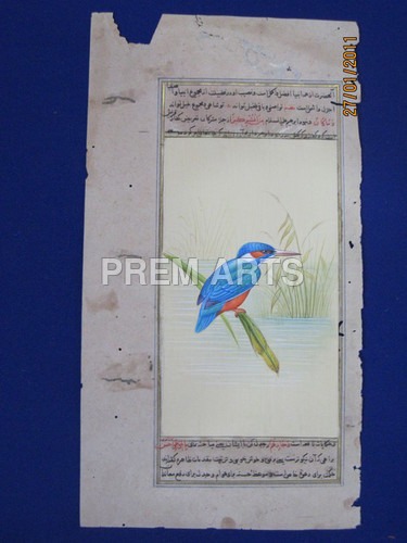 Kingfisher Painting On Paper Medium: Water Color
