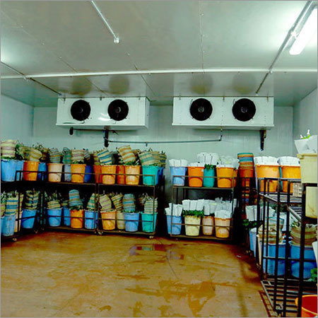 Cold Storage Room - Spacious Insulated Design | Ideal for Perishable Items