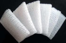 Fruit Foam Net