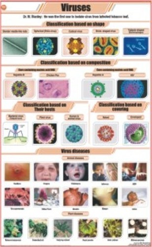 वायरस चार्ट