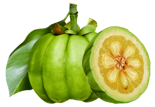 Garcinia Cambogia