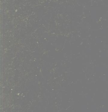 सुएड ग्रेनाइट