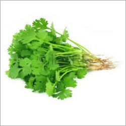 Coriander Leaves