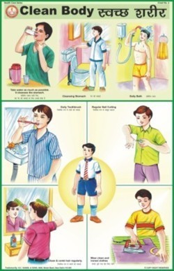 लैमिनेटेड पेपर क्लीन बॉडी चार्ट