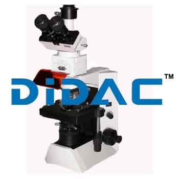 Biological Microscope