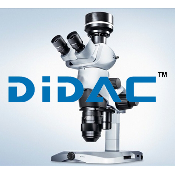 Stereo Microscope SZX16