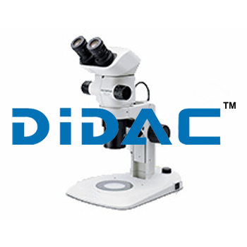 Stereo Microscope