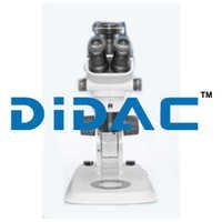 ज़ूम स्टीरियोमाइक्रोस्कोप SZ61