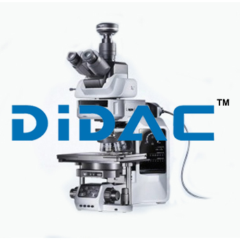 Upright Microscope Research Type