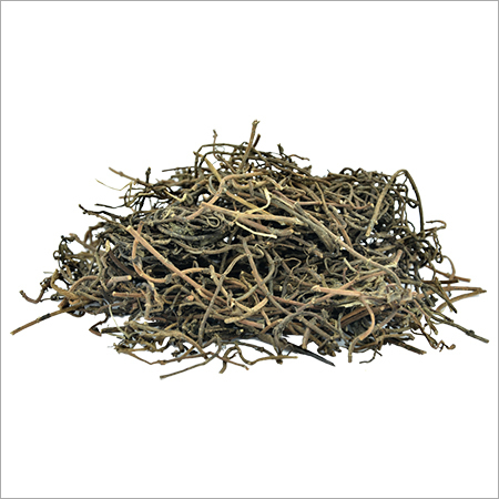 Brahmi Whole - Bacopa Monnieri Herb, Whole Herb with Thick Leaves for Cognitive Support and Traditional Ayurvedic Uses