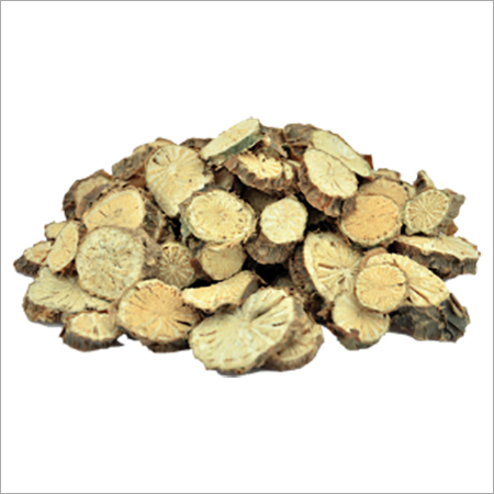 Guduchi Stems - Dried Herb, Greenish Mucilaginous Structure, Spreading Perennial Twiner, Known in Ayurveda for Diverse Applications