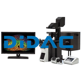 Confocal Laser Scanning Microscope