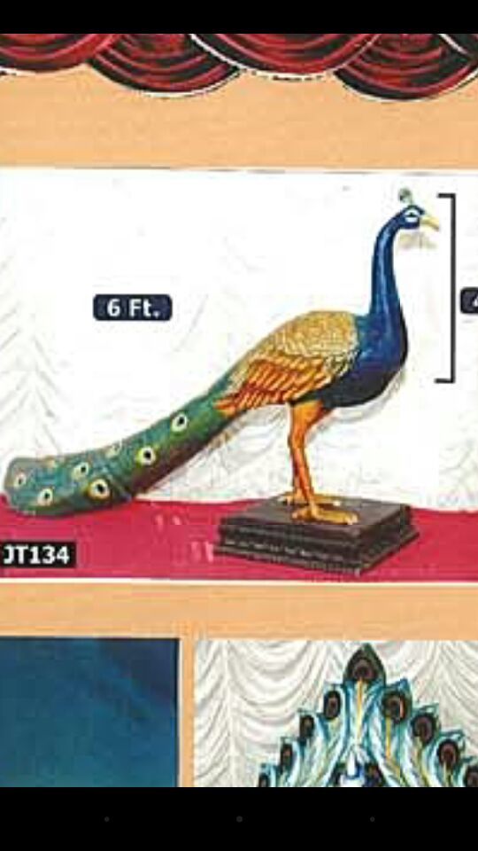 Fiber Peacock
