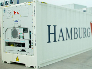 Container Handling Services - Steel, 20-40ft Dimensions, Refrigerated | Cost-Effective, Global Reach, Reliable Service, Secure Transport, Timely Delivery