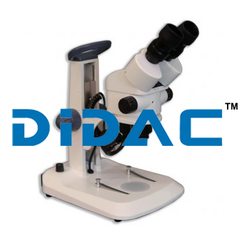 Binocular Entry Level Stereo Microscope Research Type