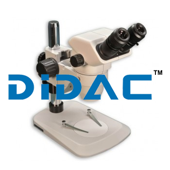 Binocular Entry Level Stereo Microscope