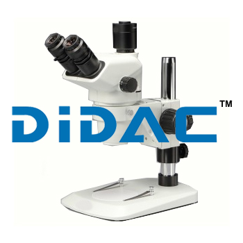 Trinocular Stereo Microscope