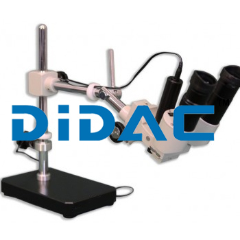 Stereo Microscope
