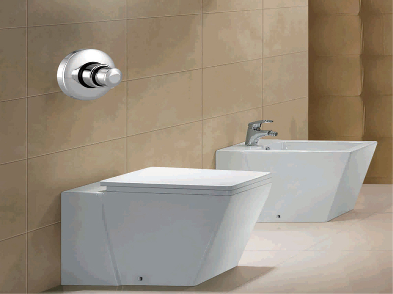 Push Flush Valve