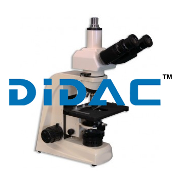 Trinocular Gout Testing Microscope