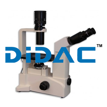 Binocular Inverted Biological Microscope