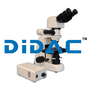 Transmitte Light Metallurgical Microscope MT8000EL