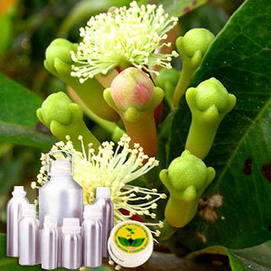 Clove Oil - Pure Syzygium Aromaticum Extract | Highly Aromatic, Therapeutic Grade Essential Oil