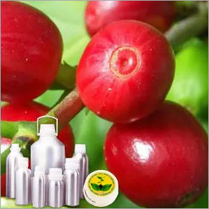 Coffee Oil - Coffea Arabica Extract | Rich Aroma, Premium Quality, Natural Ingredients