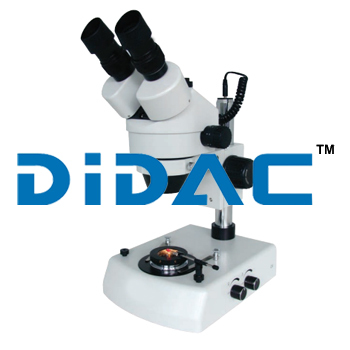 Stereo Microscope Manufacturer