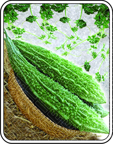 ग्रीन दानिका