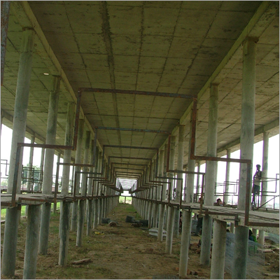 कैलिफ़ोर्निया केज M.s. स्टैंड