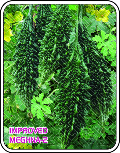 ग्रीन मेघना-2