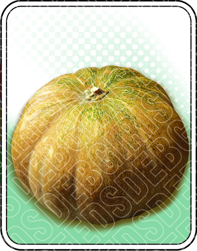 प्रेमा शुद्धता: 99%