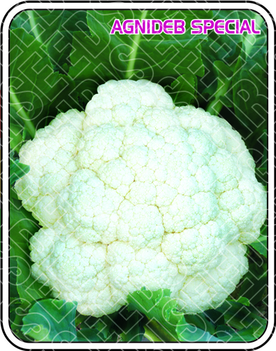 अग्निदेब विशेष शुद्धता: 98%