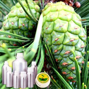 पाइन नीडल ऑयल