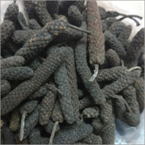 लंबा काली मिर्च