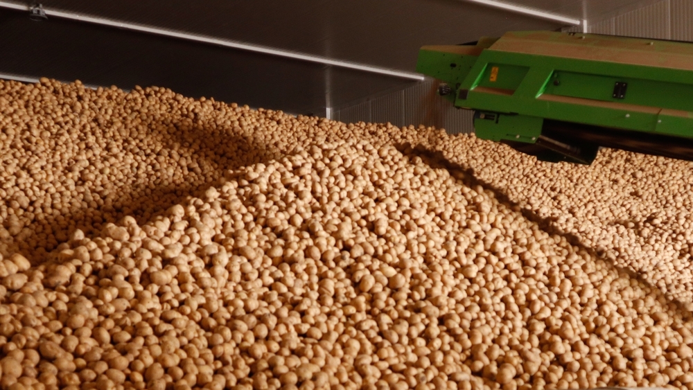 Potato Cold Storage - High-Grade Insulated Container , Extended Freshness and Temperature Control