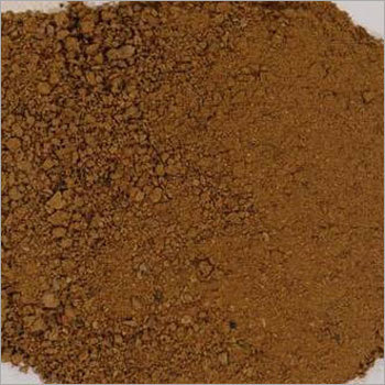 ढलाईकार डॉक्टर