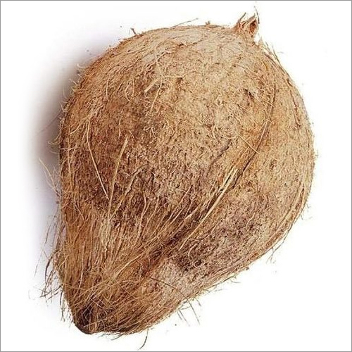 सेमी हस्क्ड नारियल