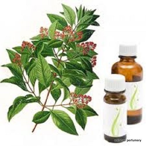 एमिरिस ऑयल एज ग्रुप: ऑल एज ग्रुप