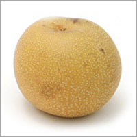 नाशपाती (बर्गमंट)